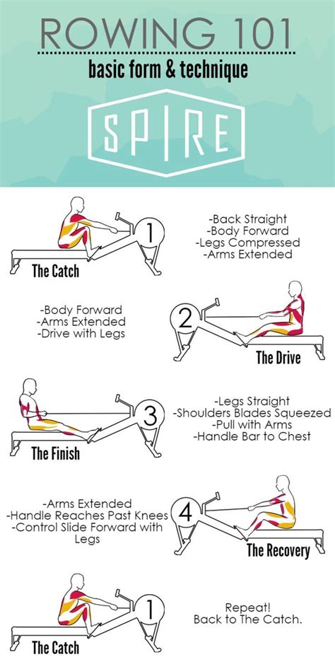 ROWING 101: Form and Technique | Indoor rowing workout, Rowing machine ...