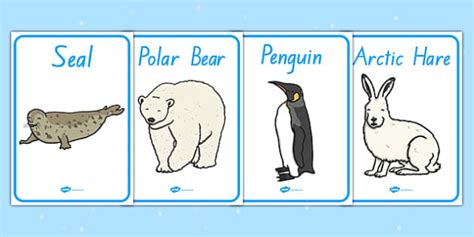 Polar Regions Animals Display Posters (teacher made)