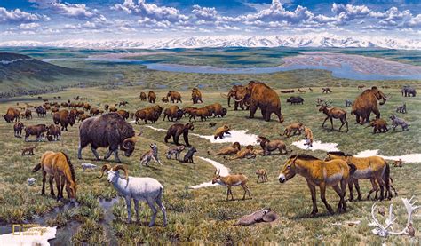 An illustration showing the variety of ice age animals, created by the ...