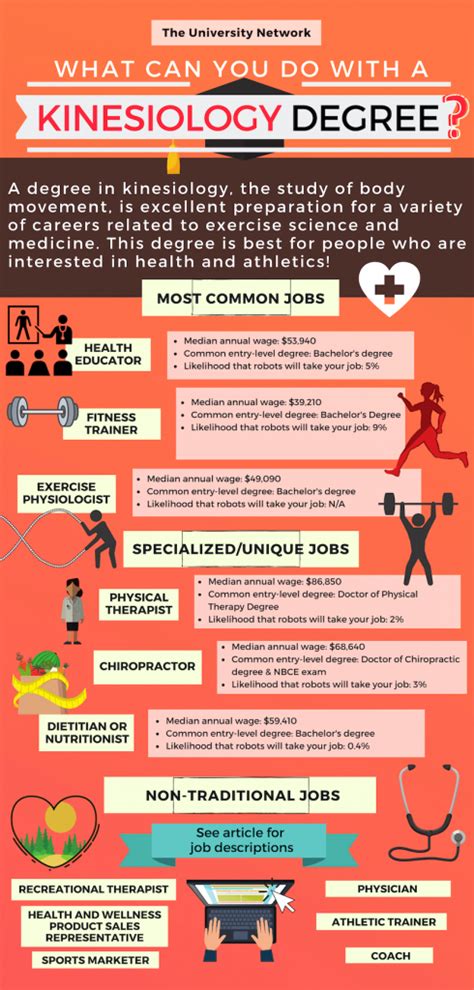 12 Jobs For Kinesiology Majors | The University Network