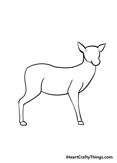 Deer Drawing - How To Draw A Deer Step By Step!