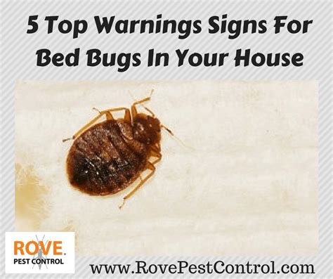 Bed Bugs Pest Control Near Me | Bed Bug Get Rid