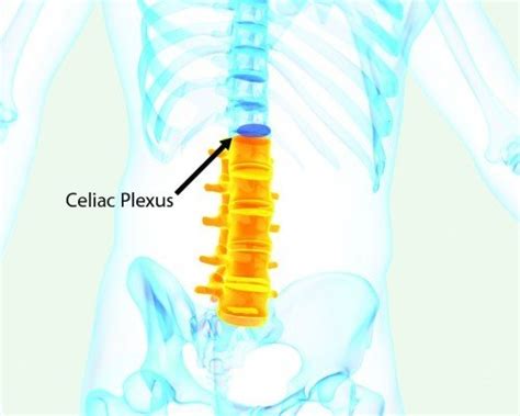 Celiac Plexus Block - Ainsworth Institute