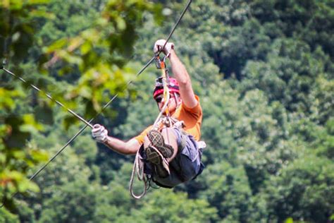 Zipline at Amicalola Falls ⋆ Forrest Hills Resort