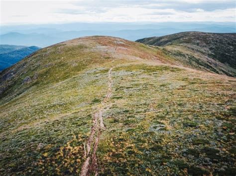 Mount Bogong Hike: Walking to Victoria's Highest Peak - Beyond Wild Places