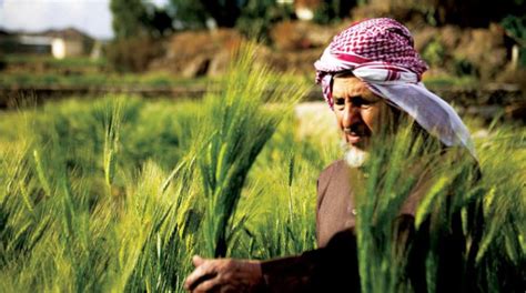 Saudi Arabia Asks Private Sector to Issue Modern Agricultural Registry ...