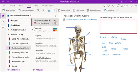 Using OneNote class notebook for student ePortfolio | Support and ...