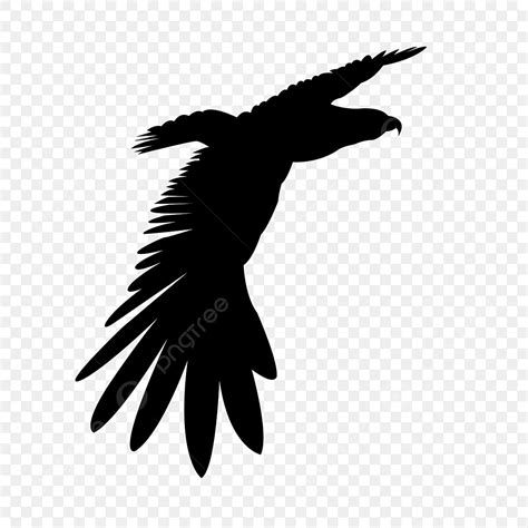 Soaring Eagle Silhouette Transparent Background, Eagle Black Soaring ...