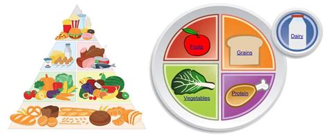 Healthy Food Pyramid For Kids