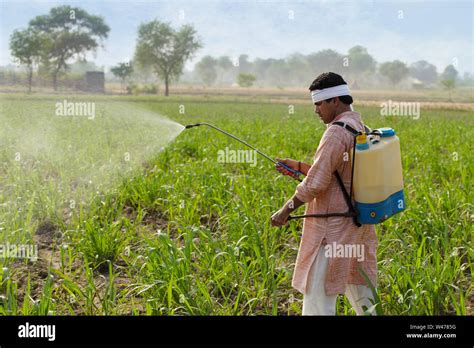 Spraying Pesticides