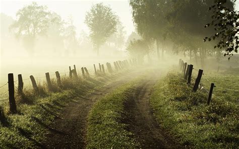 fog pictures | Morning Fog Desktop Field Wallpaper Desktop Wallpapers ...