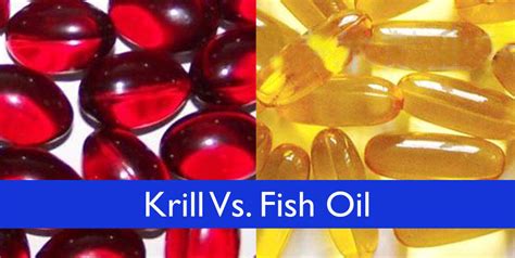 KRILL OIL VS. FISH OIL: WHAT'S THE DIFFERENCE? - XbodyConcepts