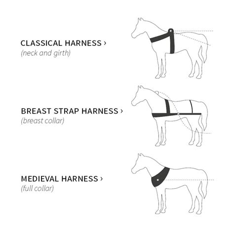 What Are The Different Types Of Dog Harnesses