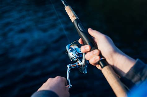 10 Great Fishing Poles for Beginners - Modded