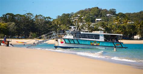 From Yeppoon, Great Keppel Island Snorkeling Trip with Lunch, Keppel ...