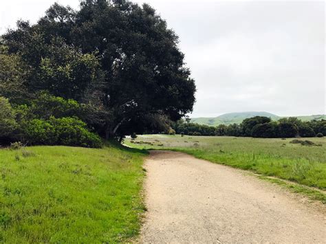 Bear Valley Sky Loop — Point Reyes Nature