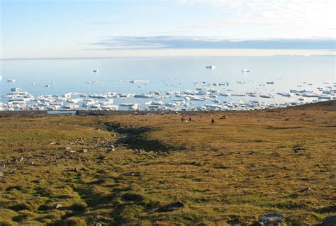 Svalbard - Climate Change