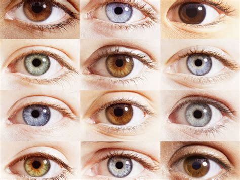 Change Eye Color Of Image With Eye Color Changer Online, 59% OFF