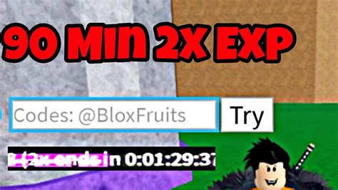 X2 Exp Blox Fruits Codes 2024 - Lisa Sheree