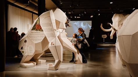 The production of exhibition ‘GIANTS’ at the Museum of Natural Sciences ...