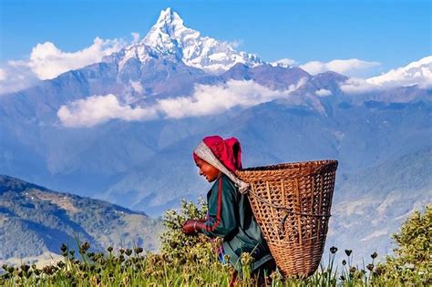 Annapurna Foothills Private Full-Day Guided Hike From Pokhara 2024