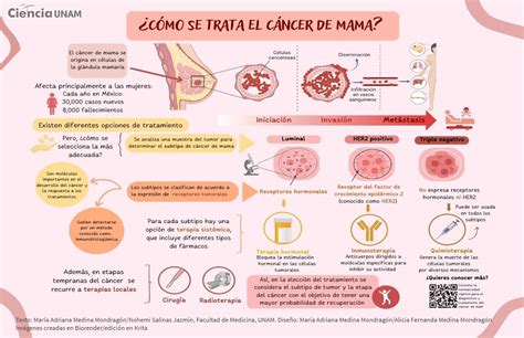 Distintas estrategias para tratar el cáncer de mama - Ciencia UNAM