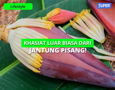 12 Manfaat Jantung Pisang & Kandungan Nutrisi yang Luar Biasa