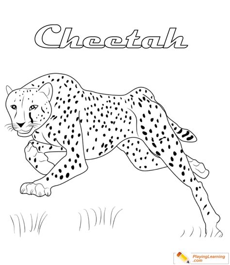 Cheetah Coloring Pages For Adults