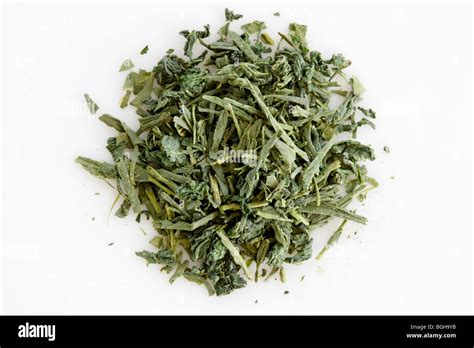 Shiso tea leaves Stock Photo - Alamy