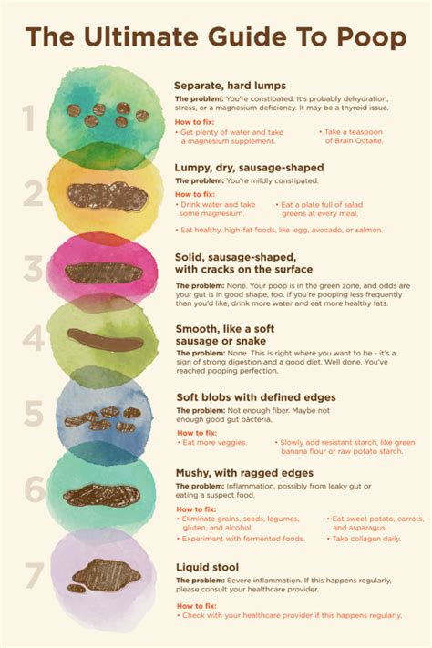 Poop Chart: Is Your Poop Healthy? See How to Read Your Stool