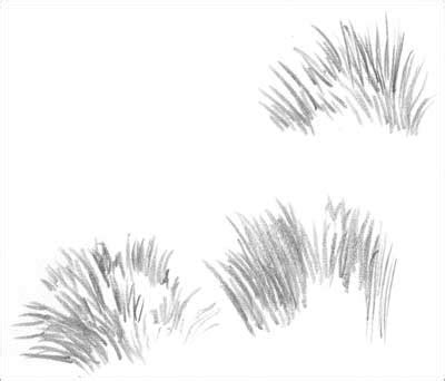 DRAWING GRASS and WEEDS tutorial (part 1) by Diane Wright