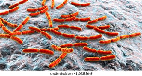 161 Lactobacillus rhamnosus Images, Stock Photos & Vectors | Shutterstock