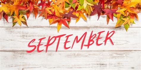 What is it about September? - ElderAdo Financial