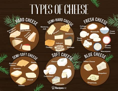 35 Types Of Cheese, Explained, 51% OFF | www.elevate.in