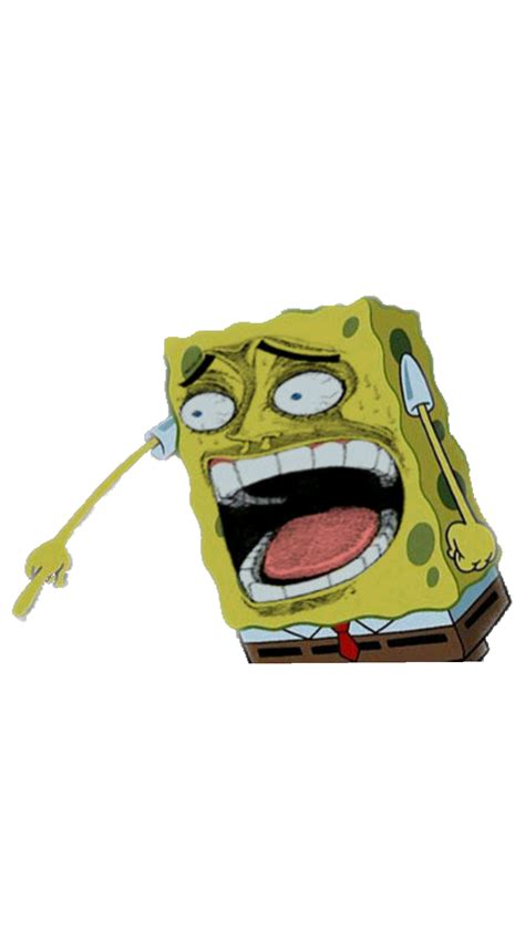 Dank Meme Laughing Spongebob Sticker By Dankmemer | The Best Porn Website