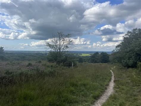 Best Walking Trails in Ashdown Forest | AllTrails