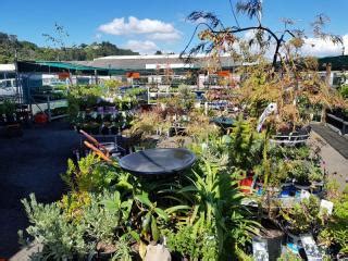 GARDEN CENTRE & SUPPLIES | MITRE 10 WHAKATANE