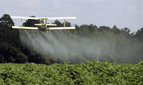 Pesticide residues found in 70% of produce sold in US even after ...