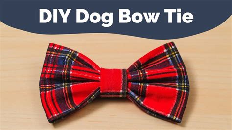 How to Put Dog Bows in Hair: A Guide for Stylish Pups - Bashs