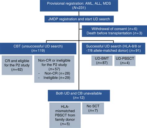 Treatment allocation according to CONSORT guidelines AML acute myeloid ...