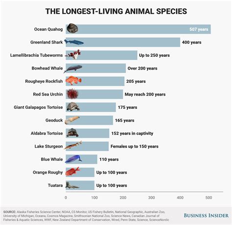 Longest-living animals in the world - Business Insider