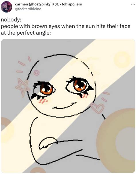 nobody: people with brown eyes when the sun hits their face at the ...