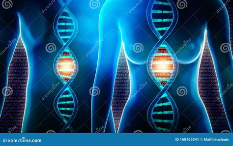 Human DNA Helix Strand Royalty-Free Illustration | CartoonDealer.com ...