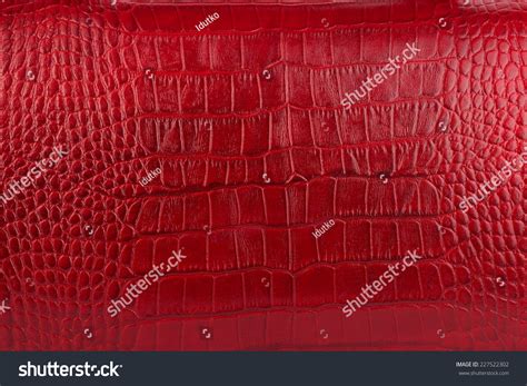 3,748 Red crocodile leather Stock Photos, Images & Photography ...