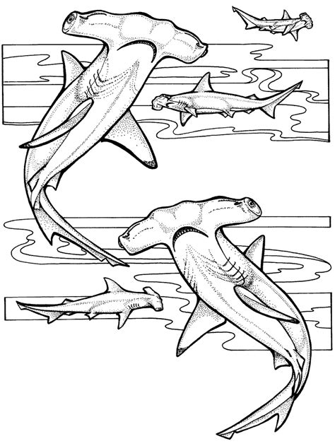 Free Printable Ocean Coloring Pages (Under The Sea)