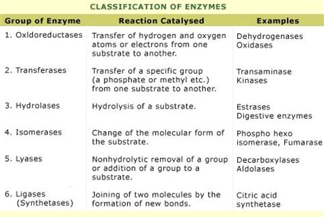 Biology – Biomolecules Revision Notes for NEET (AIPMT) & Medical Exams ...