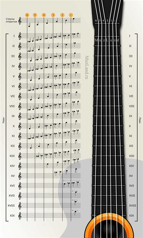 Guitar notes | Guitarras, Guitarra música, Notas musicales de guitarra