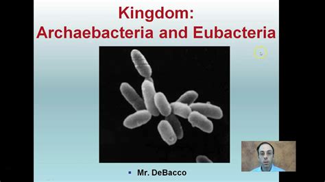 Archaea examples kingdom