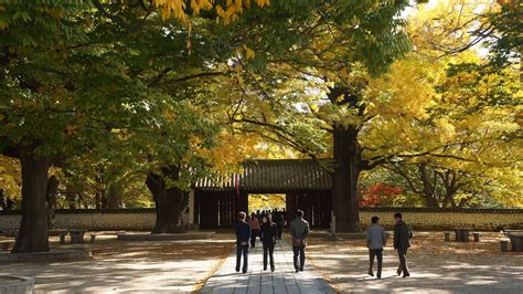 Kaesong | Uri Tours