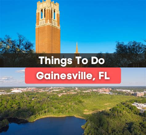 10 Things To Do in Gainesville, FL